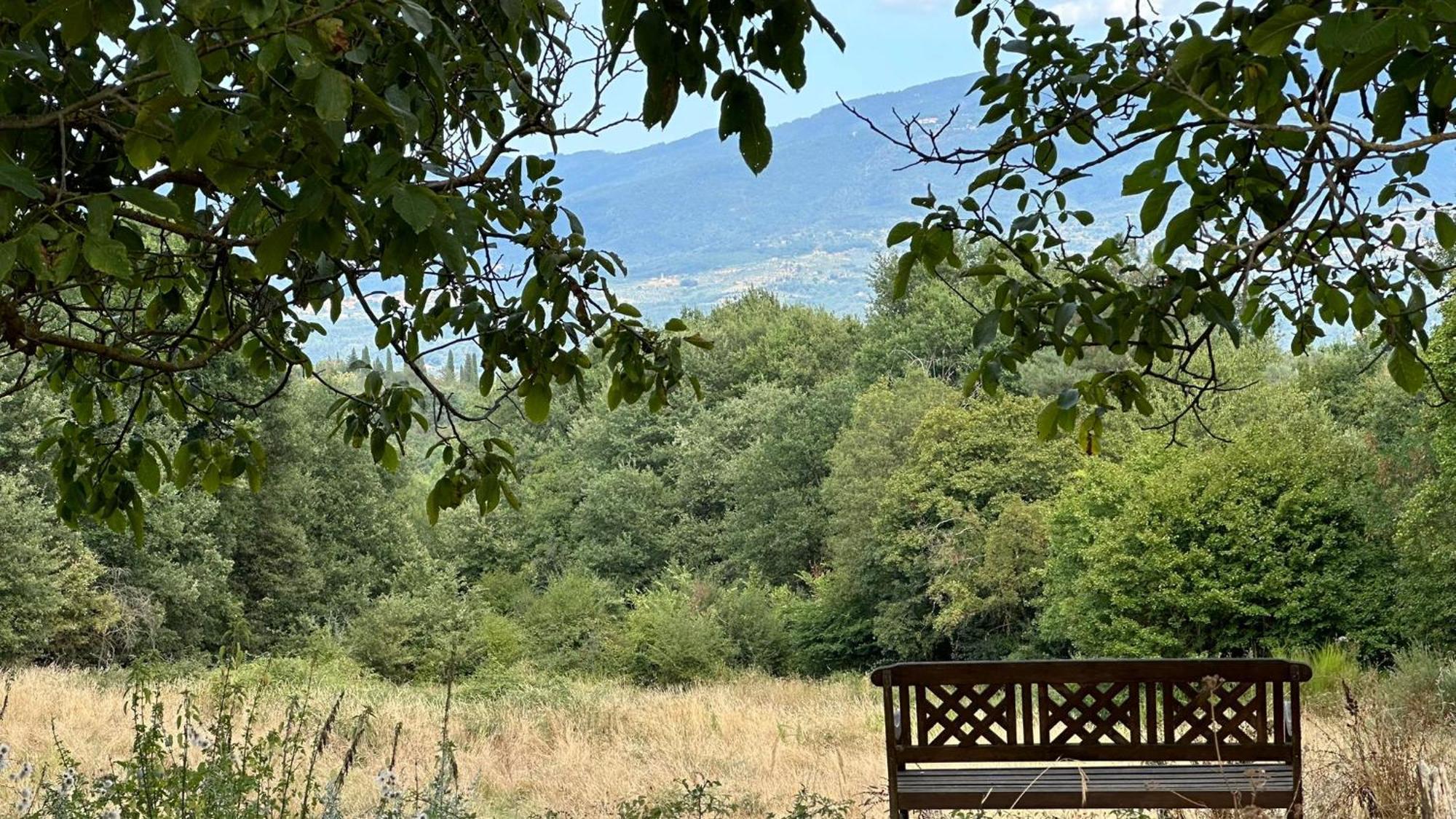 Incisa in Val d'Arno Borgo San Michele Incisa Tuscany מראה חיצוני תמונה