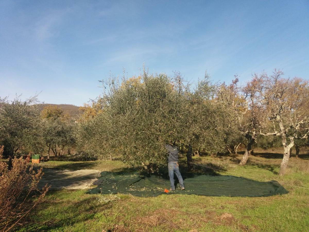 Incisa in Val d'Arno Borgo San Michele Incisa Tuscany מראה חיצוני תמונה